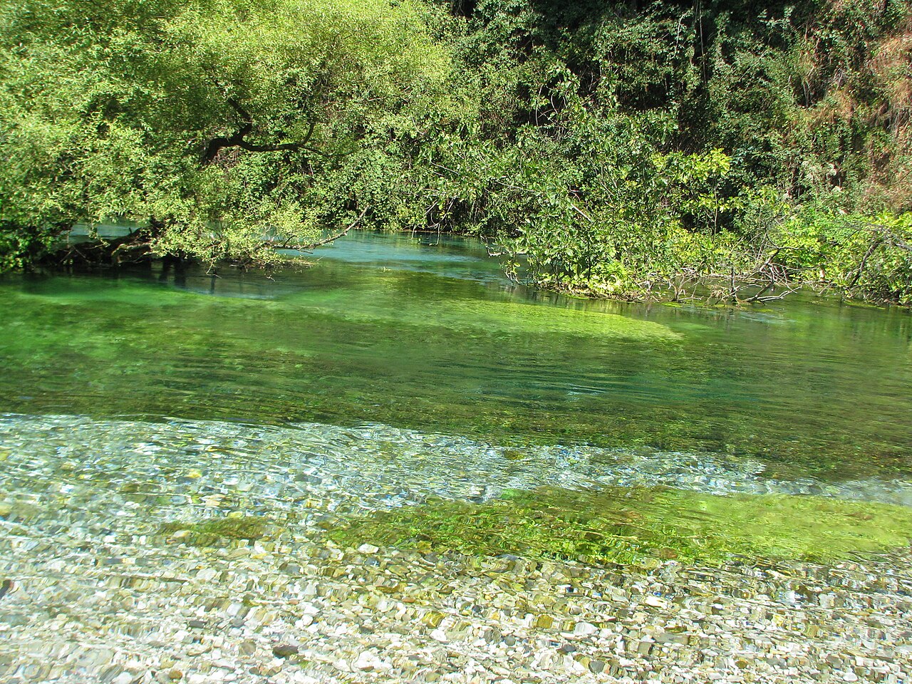 Blue Eye (Syri i Kaltër)